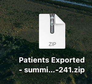 Screenshot 2024-12-11 at 9.11.13 AM.png